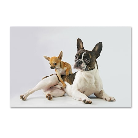 Trademark Fine Art DDiarte 'Dali & Alfredo' Canvas Art, 30x47 1X00657-C3047GG